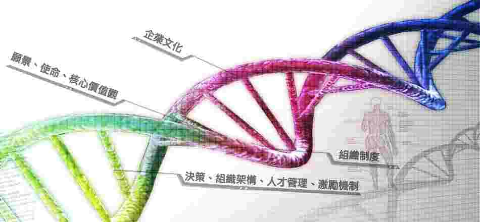 「企業DNA」理論告訴我們，那些永續經營有道的企業，並不在於它規模的大小和發展的快慢，甚至也不在於對機會把握能力的優劣，而在於他們找到並培育了自身的優質DNA，從而使企業體質能抵禦“病菌”侵蝕而不斷成長。